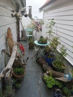 Gamal Stavanger - Ein Minigarten 