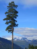 von Skei über die Hochebene...