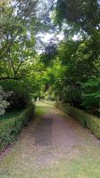 Arley Arboretum Garden
