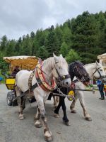 Fahrt mit dem Pferde-Omnibus ins Val Roseg