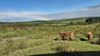 Dartmoor