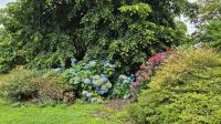Lanhydrock House and Gardens
