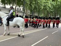 Changing of the Guards