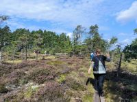 Store Mosse Nationalpark 