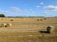 Felder sind bestellt 