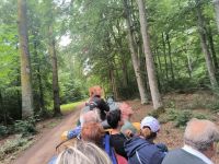 Remmalagen Fahrt auf Visingsö 