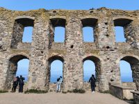 Ruine Brahehus