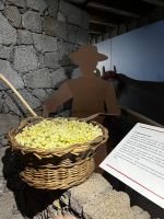 Weinmuseum Pico