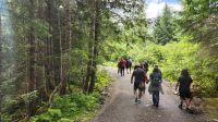 Ice Straight Point - Spazierweg