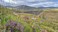 Cairngorms Nationalpark