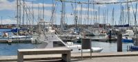 Azoren Ponta Delgada Marina