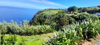 Faial - Kontrast Küste