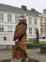 Auch die Vögel haben gelegentlich einen Vogel