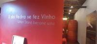 Azoren Insel Pico Weingut