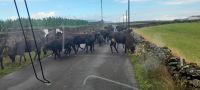 Terceira Rundfahrt