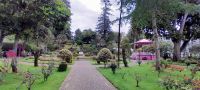 Terceira  - Angra Park