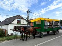 Wir unternehmen eine Kutschfahrt von Bazna nach Boian