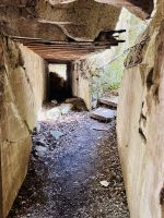 Tag 6 - Gästebunker, Wolfsschanze