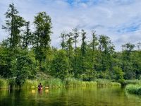 Tag 7 - Staakenbootsfahrt auf der Krutynia, Krutyn 