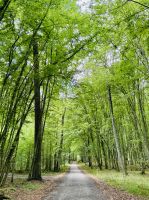 Tag 7 - Spaziergang zum Naturdenkmal “Zakochana Para” - das “Verliebte Paar”, Krutyn 