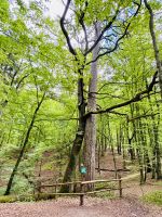 Tag 7 - Naturdenkmal “Zakochana Para” - das “Verliebte Paar”, Krutyn