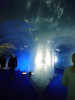 Mer de Glace-Eishöhle