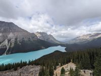 44. Peyto Lake Lookout, Icefields Parkway.jpg