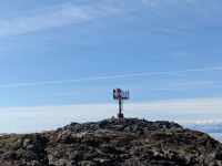 172. Adler - Schiffsausflug Lighthouse, Totems & Eagles, Ketchikan, Alaska.jpg