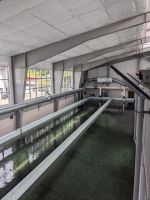 232. Jungtiere - Macaulay Salmon Hatchery, Juneau, Alaska.jpg