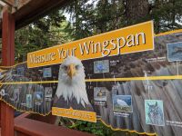 249. Gondelfahrt Mt. Roberts, Juneau, Alaska.jpg