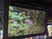 454. Ausflug in den Denali Nationalpark, Alaska.jpg