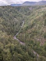 475. Alaska Express, Panoramazugfahrt von Denali vis Anchorage, Alaska.jpg