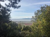 508. Freizeittag - Stadtspaziergang - Coastal Trail, Anchorage, Alaska.jpg