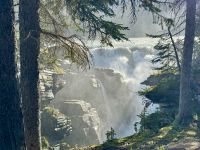 4. Tag – Jasper-Nationalpark – Athabasca Falls
