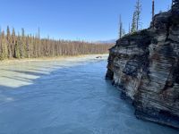 4. Tag – Jasper-Nationalpark – Athabasca Falls