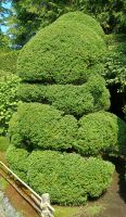 Butchart Gardens