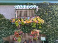 Butchart Gardens 
