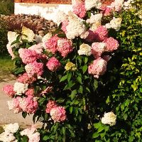 Masuren: Rundfahrt: Hof von Eulalia