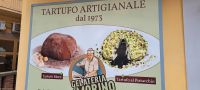 Kalabrien - Pizzo - Tartufo Eis