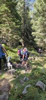 Stubaital, Wanderung im Elfergebiet 