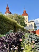 Prachtvoller Gemüsegarten