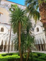 Amalfi (Kreuzgang der Kathedrale)