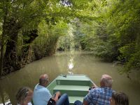 8. Bootsfahrt durch Marais Poitevin.jpg