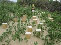 Amarula und Biltong am Strand von Wilderness