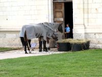 Nach der Arbeit in Chambord