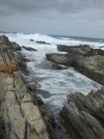 im Tsitsikamma Nationalpark