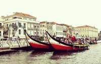 Die Bootstouren erfreuen sich bei Gästen großer Beliebtheit in Aveiro