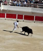 Flusskreuzfahrt auf der Rhone - Saintes-Maries-de-la-Mer