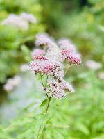 Tag 8 - Krka-Nationalpark