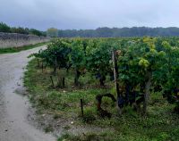 Wasser für den Wein Chateau Balac